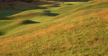 Royal Aberdeen by Aidan Bradley