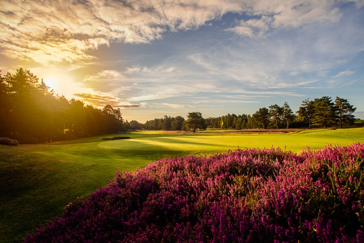 Sunningdale Golf Club