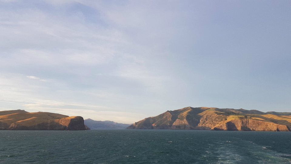 <h2>2019 New Zealand & Sydney Golf Cruise</h2>Azamara Quest (Jan)