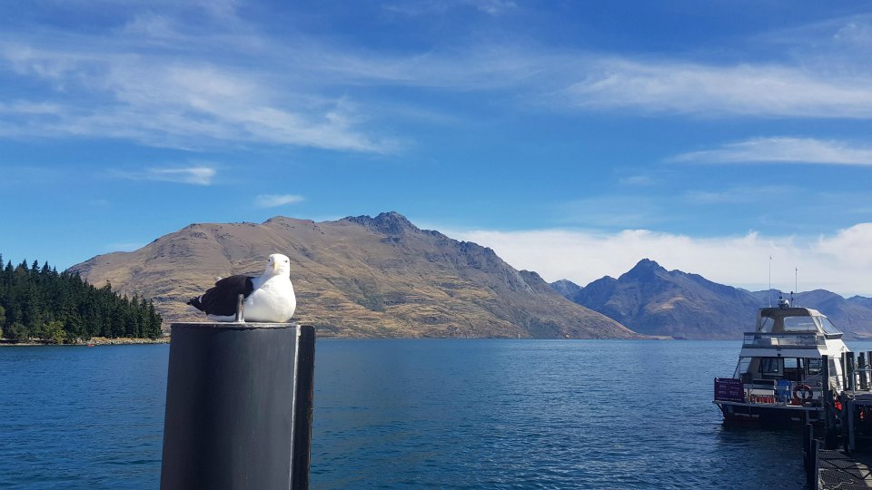 <h2>2019 New Zealand & Sydney Golf Cruise</h2>Azamara Quest (Jan)