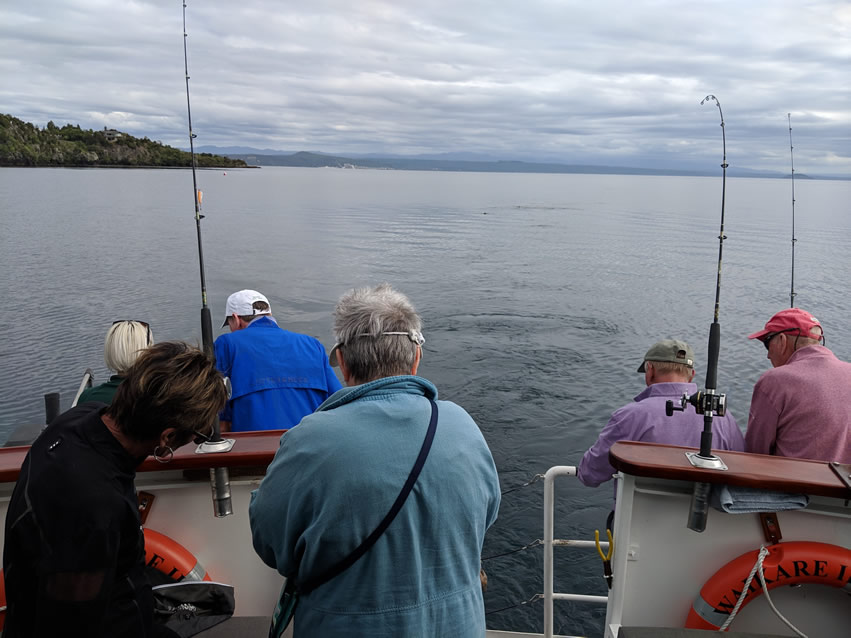 <h2>The Best of New Zealand Escorted 2018</h2>Taupo, Napier, Wellington & Queenstown