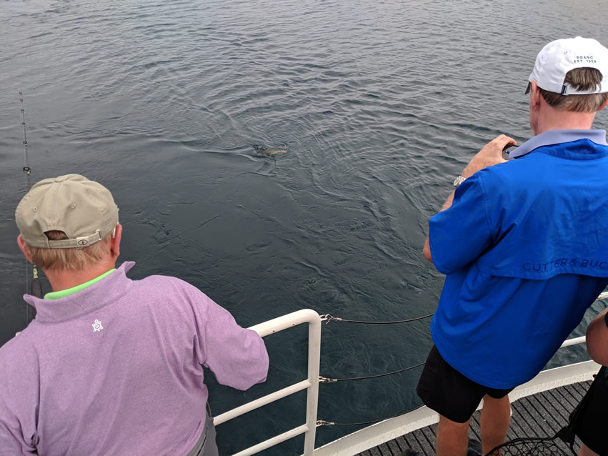 <h2>The Best of New Zealand Escorted 2018</h2>Taupo, Napier, Wellington & Queenstown