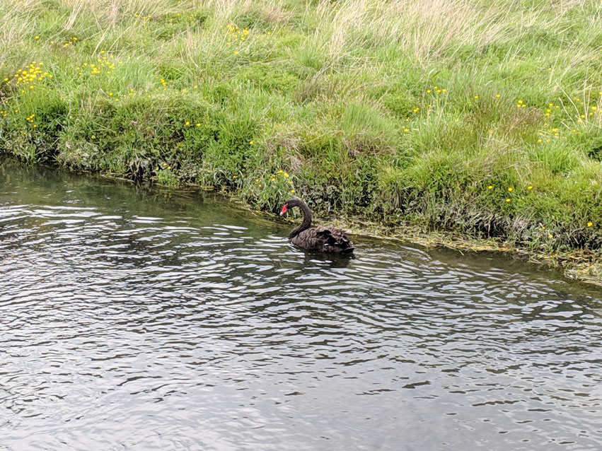 <h2>The Best of New Zealand Escorted 2018</h2>Taupo, Napier, Wellington & Queenstown