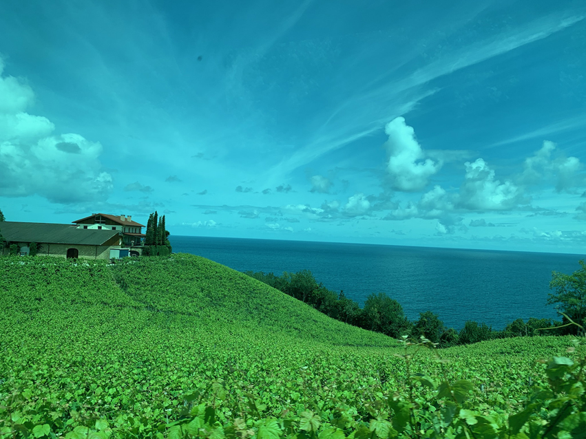 <h2>The Best of Northern Spain Escorted 2022</h2> 8 Nights | 4 Rounds | May 19 – 27