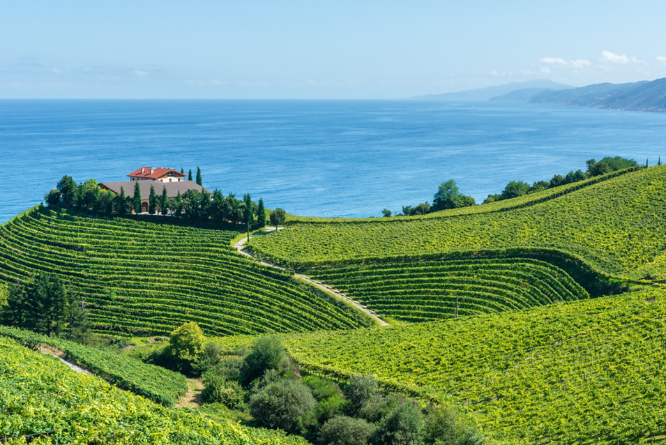 <h2>The Best of Northern Spain Escorted 2022</h2> 8 Nights | 4 Rounds | May 19 – 27